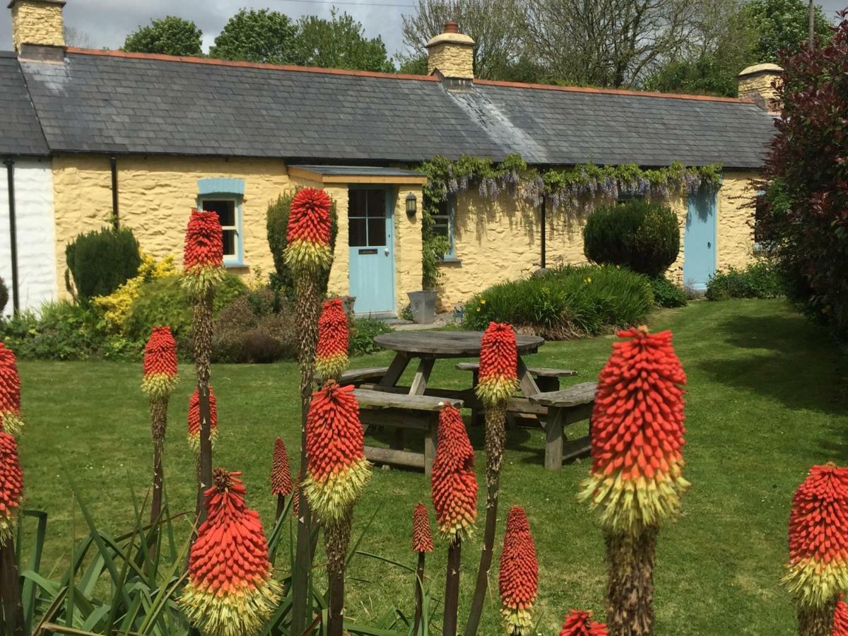 Charming Welsh Cottage Johnston Luaran gambar